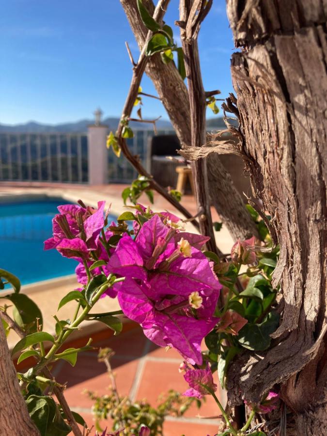 Casa La Quinta Bed & Breakfast Riogordo Bagian luar foto